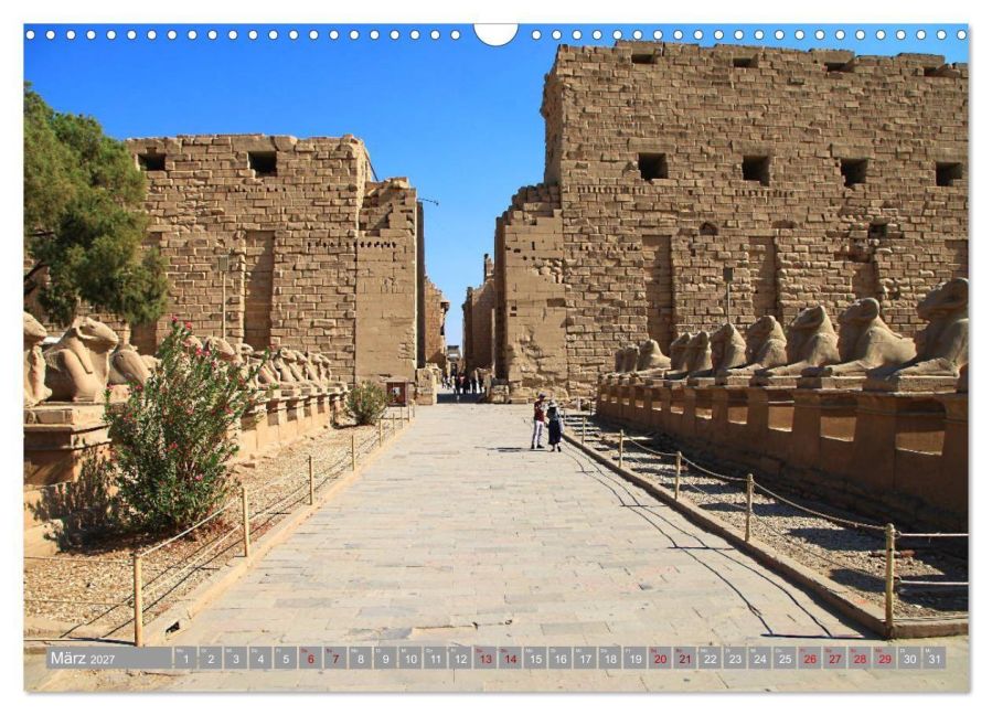 InsideView 8