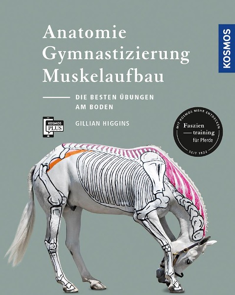 Anatomie, Gymnastizierung, Muskelaufbau - Gillian Higgins