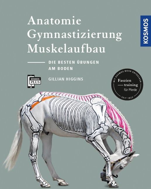 Anatomie, Gymnastizierung, Muskelaufbau - Gillian Higgins