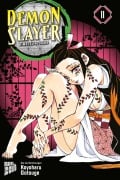 Cover-Bild zum Titel 'Demon Slayer 11' von 'Koyoharu Gotouge'