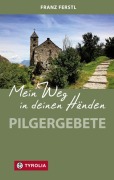 Cover-Bild zum Titel 'Mein Weg in deinen Händen' von 'Franz Ferstl'