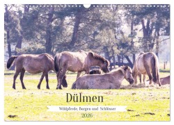 Cover-Bild zum Titel 'Dülmen - Wildpferde, Burgen und Schlösser (Wandkalender 2026 DIN A3 quer), CALVENDO Monatskalender' von 'Brigitte Dürr'