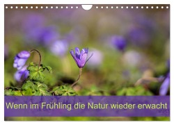Cover-Bild zum Titel 'Wenn im Frühling die Natur wieder erwacht (Wandkalender 2026 DIN A4 quer), CALVENDO Monatskalender' von 'Monika Scheurer'