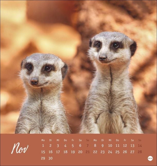 InsideView 11