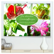 Cover-Bild zum Titel 'Die schönsten Zimmerpflanzen. Pflegeleicht, dekorativ und wohltuend (hochwertiger Premium Wandkalender 2026 DIN A2 quer), Kunstdruck in Hochglanz' von 'Rose Hurley'