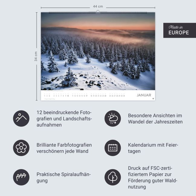 InsideView 13