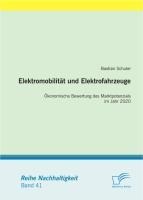 Elektromobilität und Elektrofahrzeuge: Ökonomische Bewertung des Marktpotenzials im Jahr 2020 - Bastian Schuler