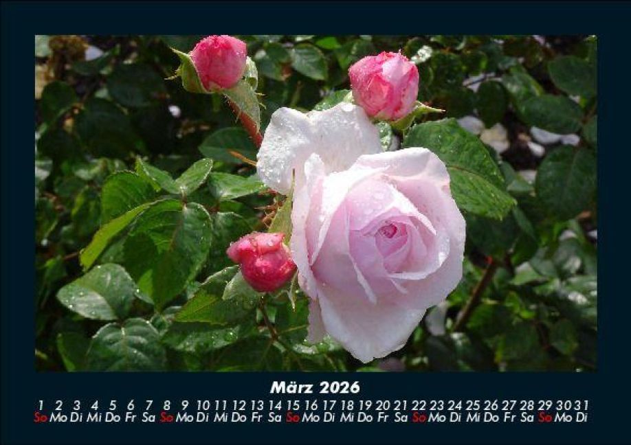 InsideView 7