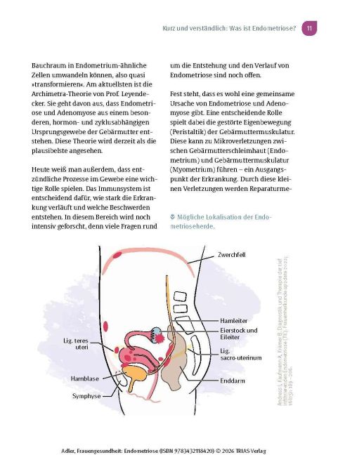 InsideView 6