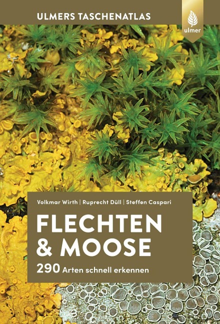 Flechten und Moose - Volkmar Wirth, Steffen Caspari, Ruprecht Düll