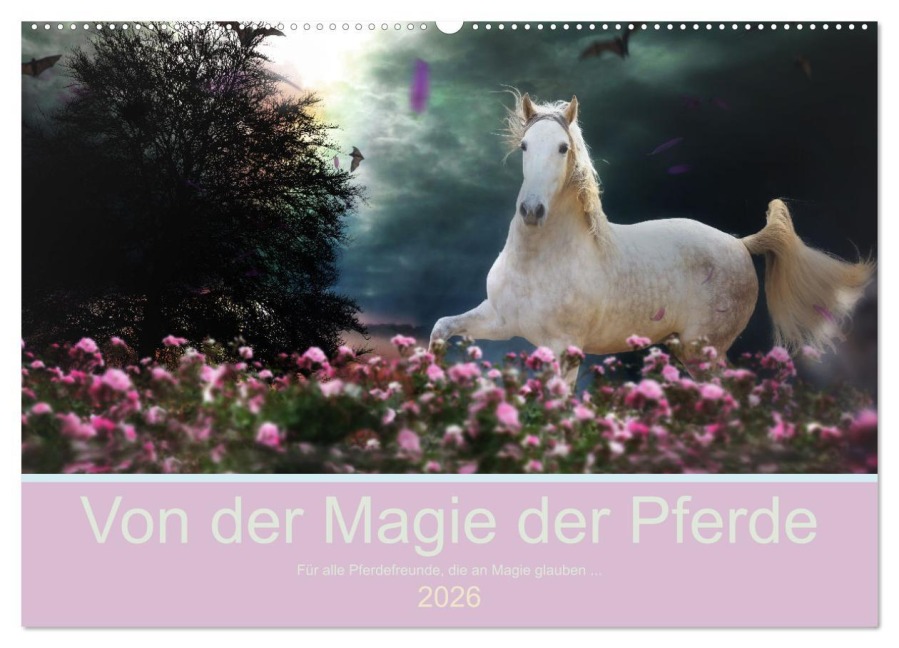 Von der Magie der Pferde (Wandkalender 2026 DIN A2 quer), CALVENDO Monatskalender - Petra Eckerl Tierfotografie