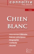 Cover-Bild zum Titel 'Fiche de lecture Chien blanc de Romain Gary (Analyse littéraire de référence et résumé complet)' von 'Romain Gary'