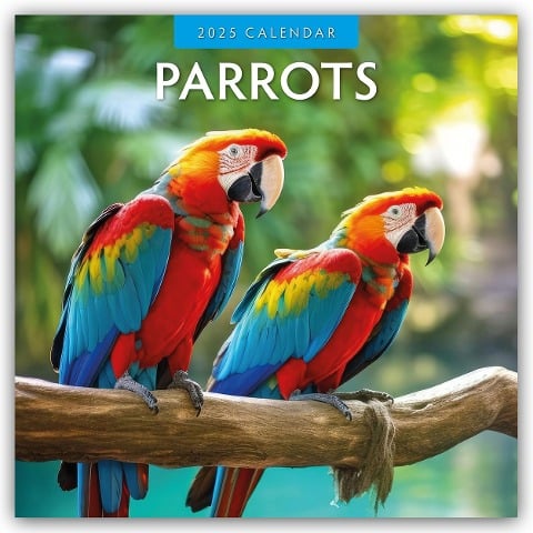 Parrots - Papageien 2025 - 16-Monatskalender - Robin Red