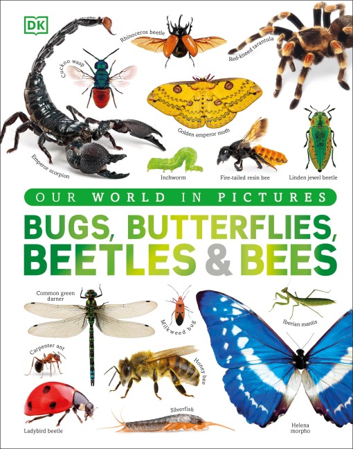 Our World in Pictures Bugs, Butterflies, Beetles and Bees - Dk
