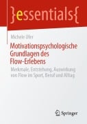 Cover-Bild zum Titel 'Motivationspsychologische Grundlagen des Flow-Erlebens' von 'Michele Ufer'