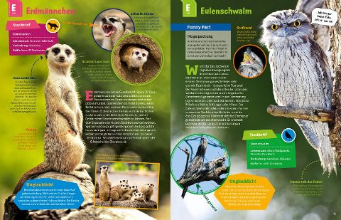 InsideView 7
