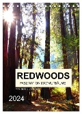 Redwoods - Faszination Mammutbäume (Tischkalender 2024 DIN A5 hoch), CALVENDO Monatskalender - Isabel Bürschgens