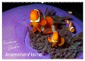 Anemonenfische - Streitbare Gesellen (Wandkalender 2025 DIN A2 quer), CALVENDO Monatskalender - Ute Niemann
