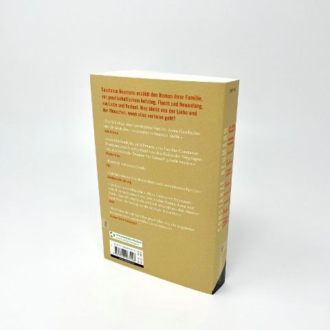 InsideView 2