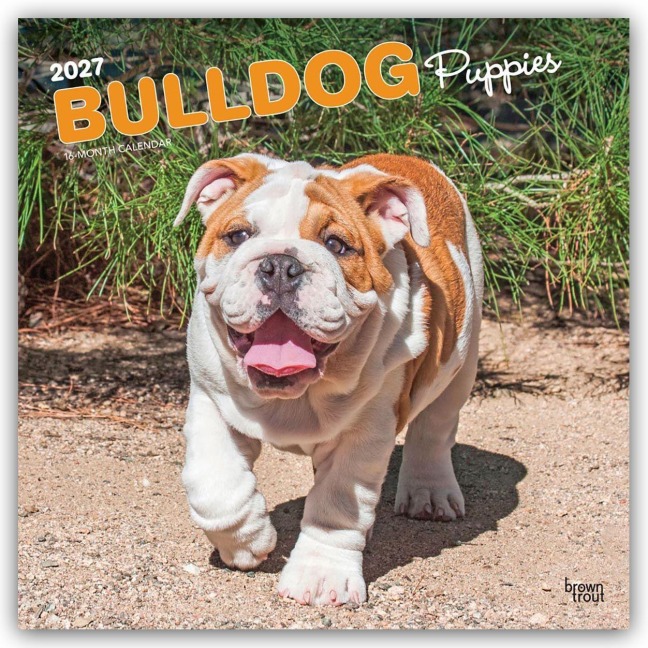 Bulldog Puppies - Bulldogge Welpen 2027 - 16-Monatskalender - Browntrout Publishers