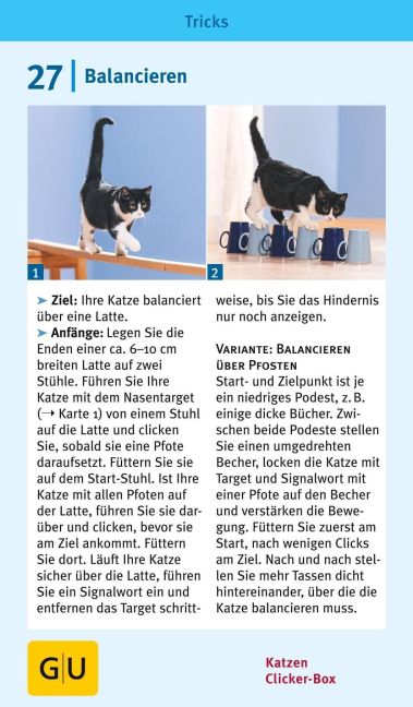 InsideView 8