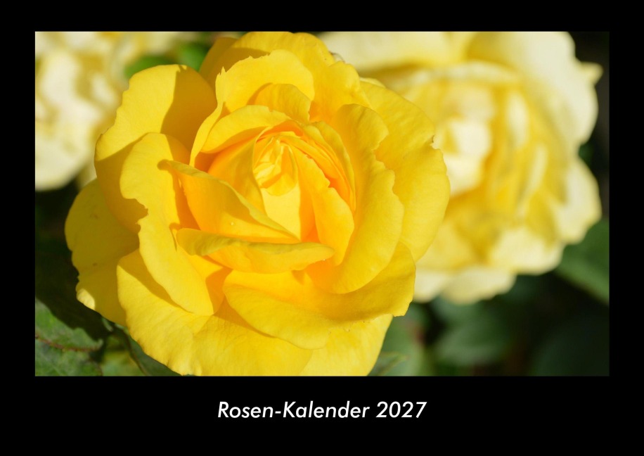 Rosen-Kalender 2027 Fotokalender DIN A3 - Tobias Becker