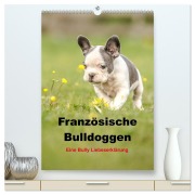 Cover-Bild zum Titel 'Französische Bulldoggen - Eine Bully Liebeserkärung (hochwertiger Premium Wandkalender 2026 DIN A2 hoch), Kunstdruck in Hochglanz' von 'Yvonne Obermüller'