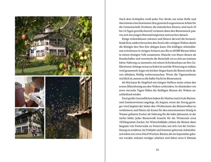 InsideView 13