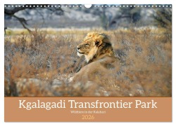 Cover-Bild zum Titel 'Kgalagadi - Fauna und Wildtiere in der Kalahari (Wandkalender 2026 DIN A3 quer), CALVENDO Monatskalender' von 'Dieter Stahl'