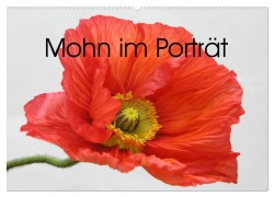 Cover-Bild zum Titel 'Mohn im Porträt (Wandkalender 2026 DIN A2 quer), CALVENDO Monatskalender' von 'Gisela Kruse'