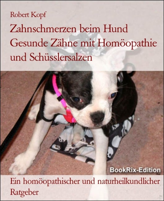 Zahnschmerzen beim Hund Gesunde Zähne mit Homöopathie und Schüsslersalzen - Robert Kopf