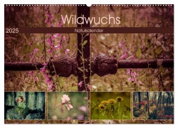 Wildwuchs 2025 (Wandkalender 2025 DIN A2 quer), CALVENDO Monatskalender - Marianne Drews