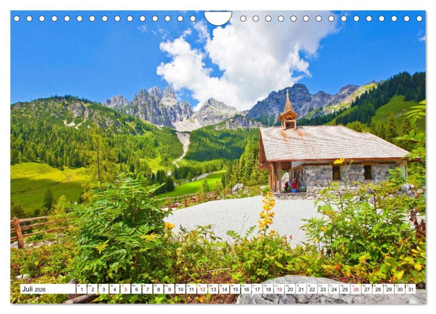 InsideView 12