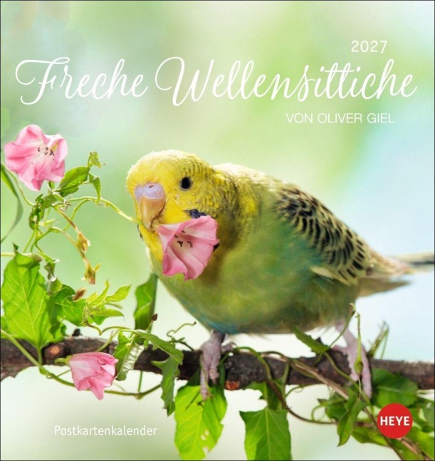 Freche Wellensittiche Postkartenkalender 2027 - 