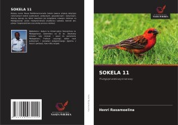 Cover-Bild zum Titel 'SOKELA 11' von 'Henri Rasamoelina'