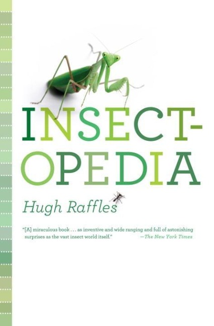 Insectopedia - Hugh Raffles