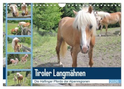 Cover-Bild zum Titel 'Tiroler Langmähnen (Wandkalender 2026 DIN A4 quer), CALVENDO Monatskalender' von 'Katrin Lantzsch'