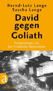 Cover-Bild zum Titel 'David gegen Goliath' von 'Bernd-Lutz Lange, Sascha Lange'