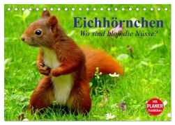 Eichhörnchen. Wo sind bloß die Nüsse? (Tischkalender 2026 DIN A5 quer), CALVENDO Monatskalender - Elisabeth Stanzer