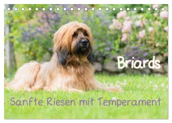 Briards - sanfte Riesen mit Temperament (Tischkalender 2026 DIN A5 quer), CALVENDO Monatskalender - Sonja Teßen
