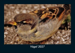 Cover-Bild zum Titel 'Vögel 2027 Fotokalender DIN A5' von 'Tobias Schmitt, Kevin Heber'