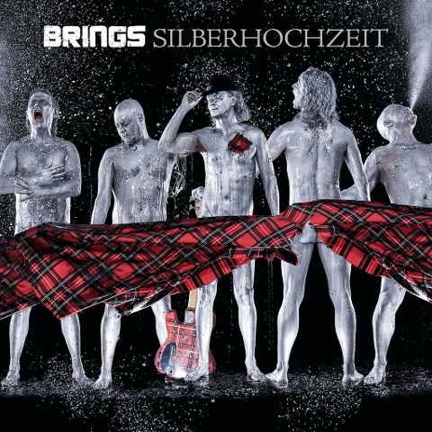 Silberhochzeit (Best Of) - Brings