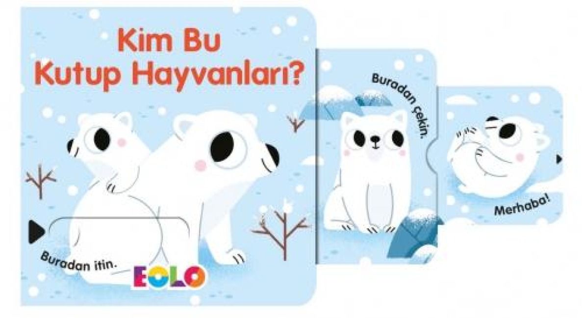 Kim Bu Kutup Hayvanlari - Kolektif