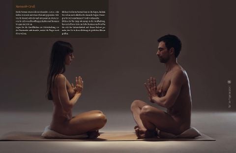 InsideView 4