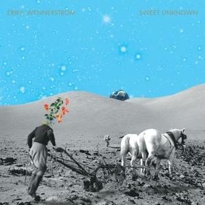 Sweet Unknown - Erika Wennerstrom
