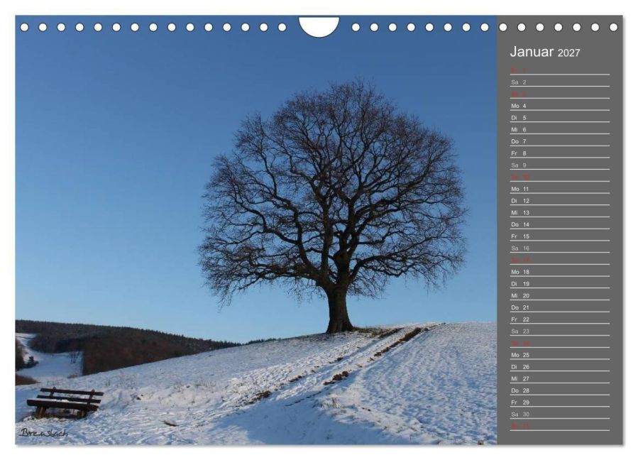 InsideView 6