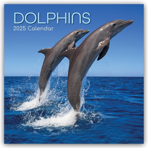 Dolphins - Delfine - Delphine 2025 - 16-Monatskalender - The Gifted Stationery Co. Ltd