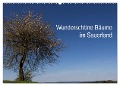 Wunderschöne Bäume im Sauerland (Wandkalender 2024 DIN A2 quer), CALVENDO Monatskalender - Simone Rein