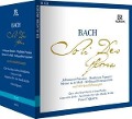 Cover-Bild zum Titel 'Soli Deo Gloria (inkl.Werkeinführung)' von 'Dijkstra/Chor des BR/Concerto Köln/AKM'