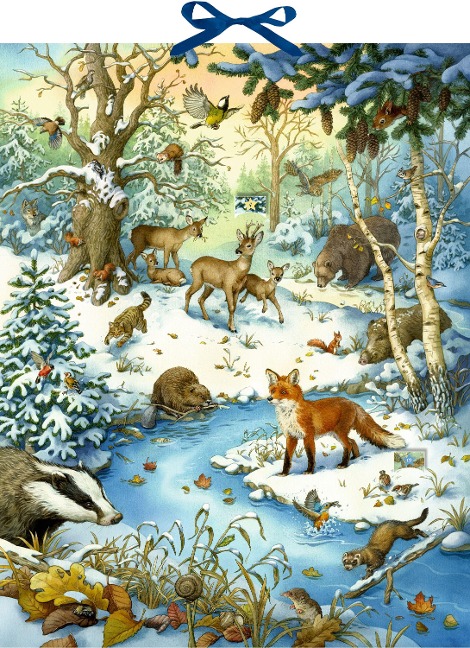 Zettel-Adventskalender - Die Tiere im Winterwald und ihr geheimes Leben - 
